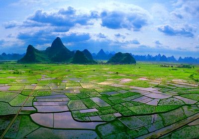 1576744326389875.jpg 農田新新.jpg