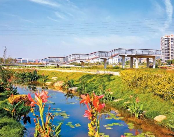 1577084719618387.jpg 茅洲河2.jpg