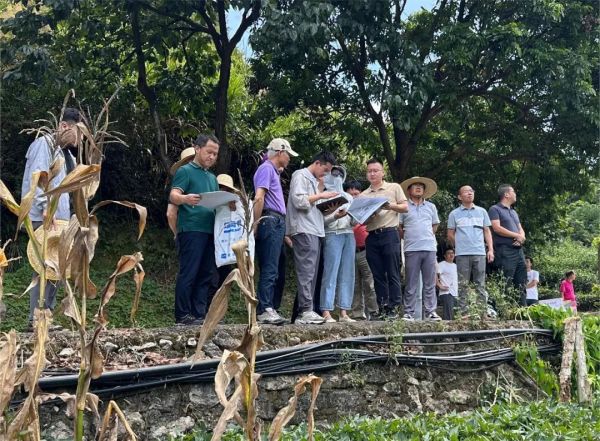 1723106604919236.jpg 22.jpg